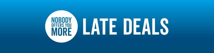 Best late holiday deals website