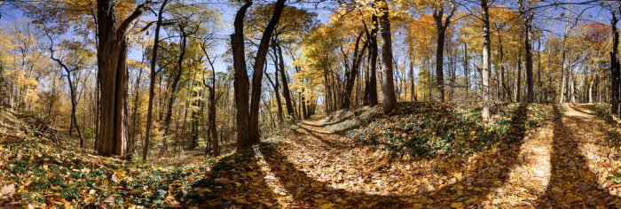Long point trail