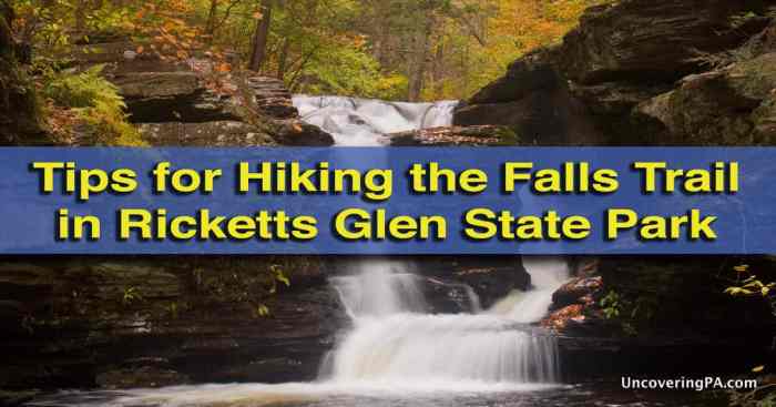 Ricketts glen trail park waterfall waterfalls uncoveringpa hikes