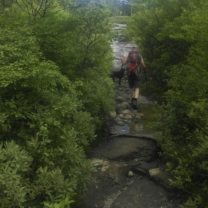 Fiery gizzard trail