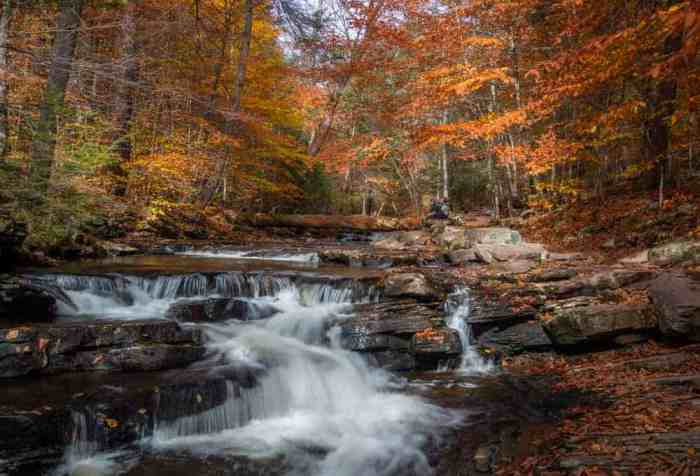 Ricketts glen falls trail
