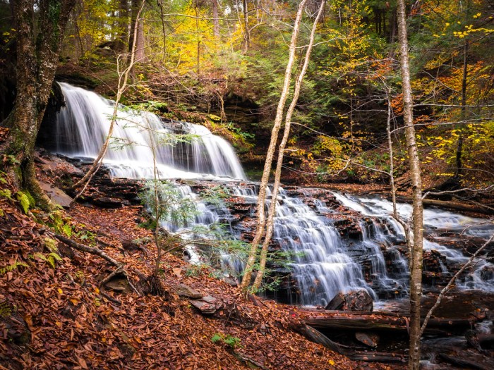 Glen ricketts falls trail valley hiking views girl