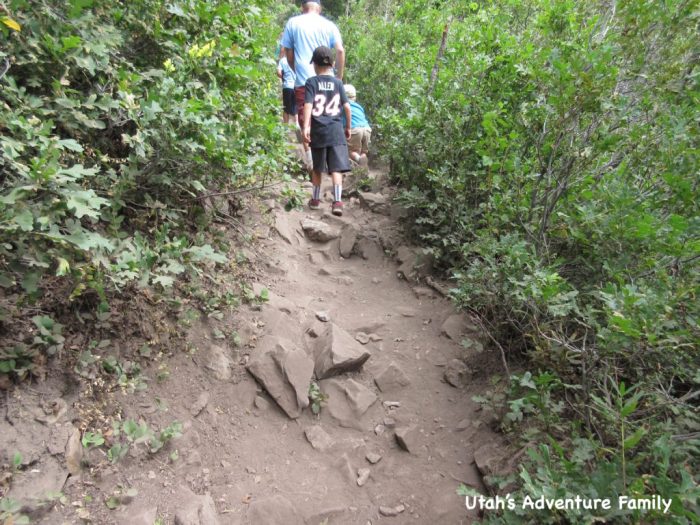 Stewart falls trail