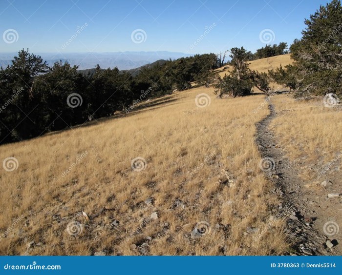 Long point trail