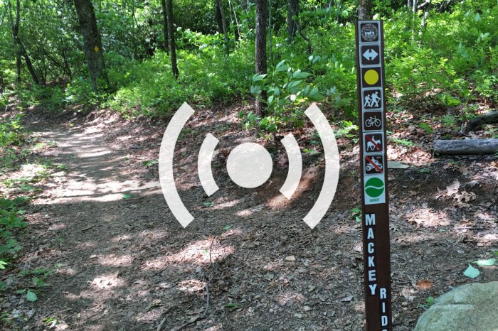 Fiery gizzard trail