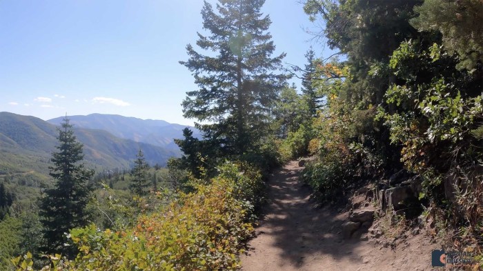 Stewart falls trail